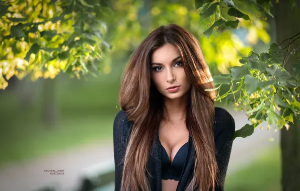 Зелень, взгляд, листья, солнце, деревья, ветки, секси, фон