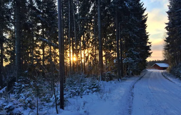 Картинка house, forest, road, winter, Southern Finland