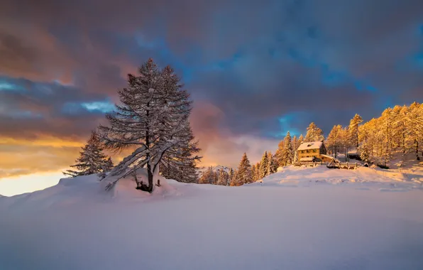 Зима, свет, снег, горы, утро, Альпы, Италия, Январь