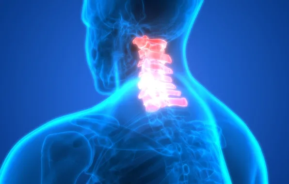 Pain, bones, neck, human figure, discomfort, vertebrae