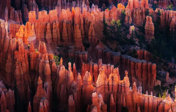 Картинка свет, природа, скалы, каньон, США