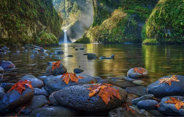 Картинка озеро, камни, водопад, кленовые листья