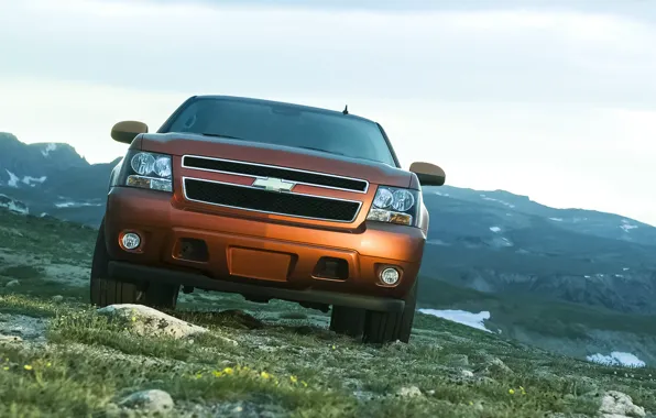 Картинка Chevrolet, Orange, Sky, Grass, Green, Front, Saw, 4x4