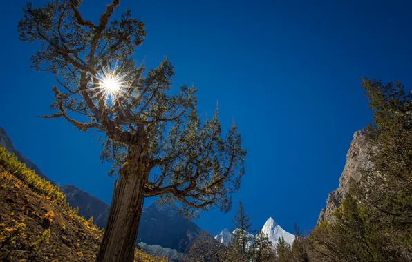 Картинка осень, солнце, лучи, деревья, горы, Китай, Ядин