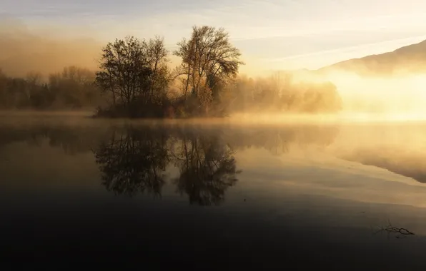 Картинка деревья, туман, озеро, утро