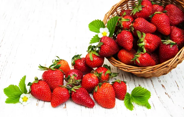 Ягоды, клубника, red, корзинка, fresh, strawberry, berries, basket