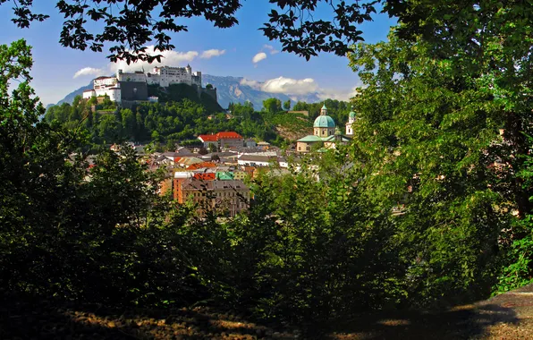 Картинка горы, ветки, город, замок, дома, Австрия, кусты, Salzburg
