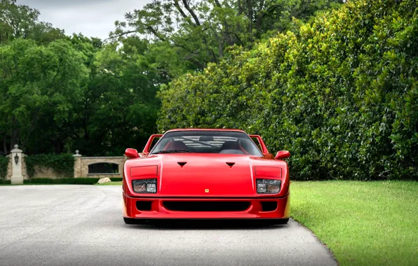 F40, Trees, Front view