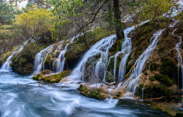Осень, лес, вода, деревья, водопад, потоки