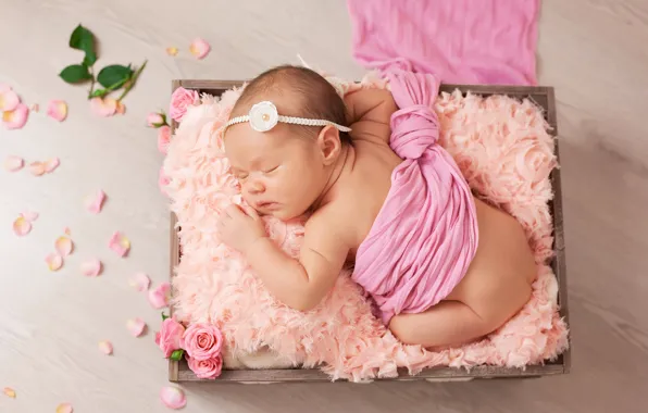 Цветы, ребенок, розы, спит, малышка, младенец, sleep, petals