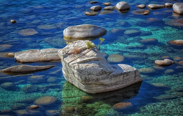 Картинка природа, скала, озеро, камни, Lake Tahoe, Bonsai Rock