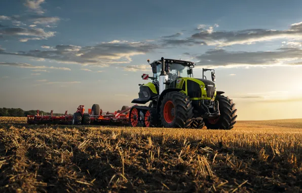 Поле, Claas, Tractor, Трактор, Claas Axion terratrac