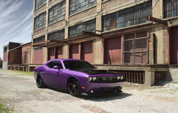 Картинка Dodge, SRT8, Challenger, Supercharged, Factory