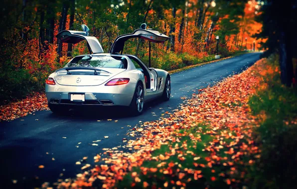 Осень, листья, Mercedes-Benz, AMG, SLS, rear, silvery