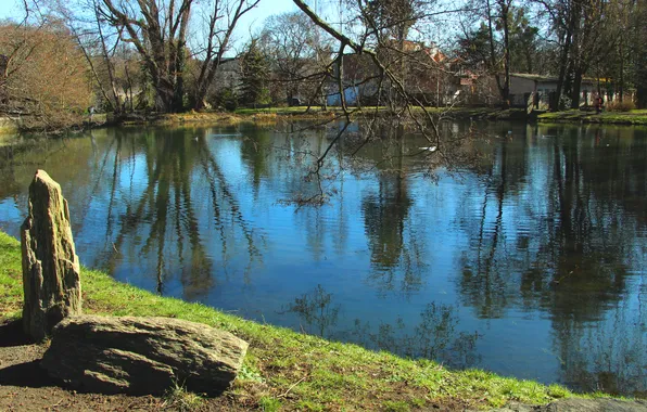 Park, lake, pond