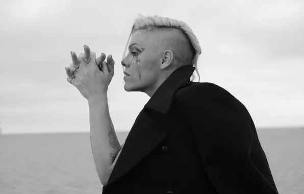 Профиль, певица, Alecia Beth Moore, P!nk, PINK