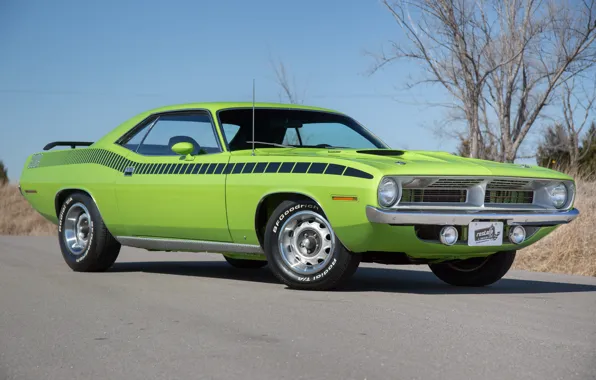 Green, 1970, Plymouth, Cuda