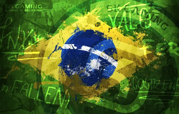 Brasil, eSports, fallen, sk gaming, fer, coldzera, taco, fnx