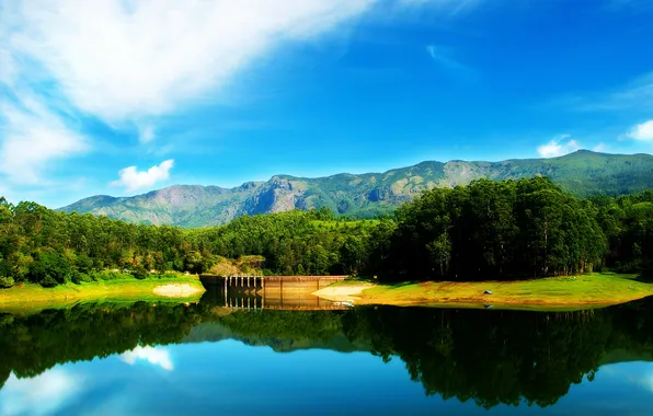 Картинка trees, nature, water, reflection, outdoors