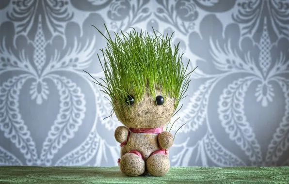 Картинка трава, кукла, Grass Head