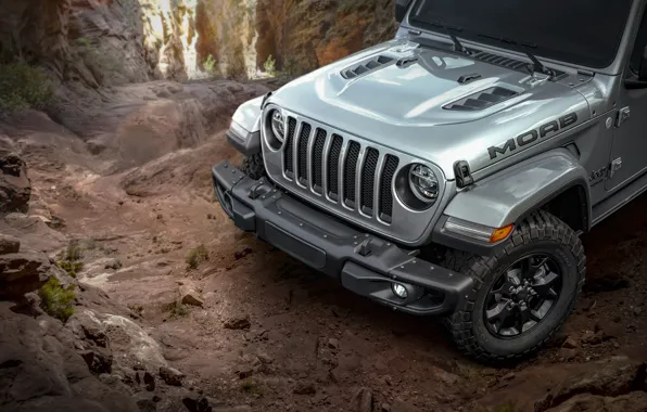 Вид спереди, 2018, Wrangler, Jeep, Unlimited, Moab Edition