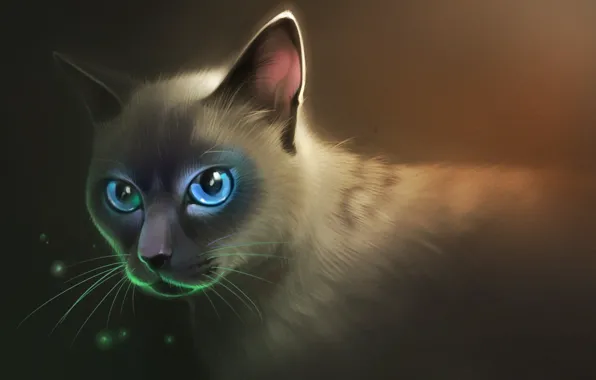 Кот, взгляд, пушистый, арт, голубые глаза