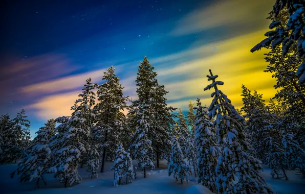 Картинка зима, лес, снег, деревья, северное сияние, Финляндия, Finland, Lapland