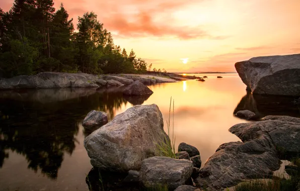 Картинка море, лес, солнце, пейзаж, закат, природа, камни, Швеция