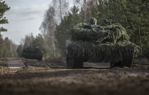 Forest, soldier, man, Leopard 2A6, tank, machine gun, cannon, German Army