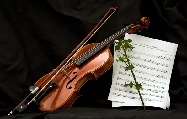 Картинка ноты, музыка, скрипка