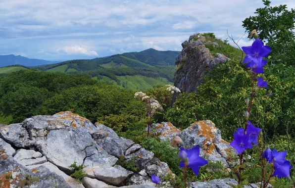 Сопки, Орёл, Утёс