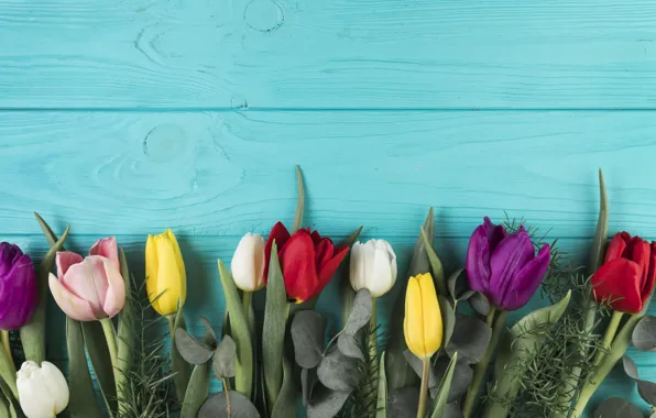 Цветы, colorful, тюльпаны, flowers, beautiful, tulips, spring, multicolored