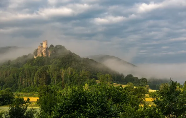 Лес, горы, замок, руины