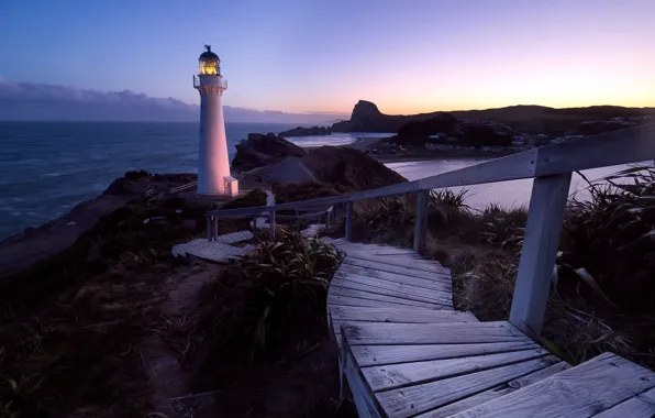 Ночь, берег, маяк, New Zealand, Wellington, Castlepoint