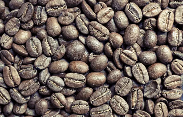 Macro, beans, coffee, close up
