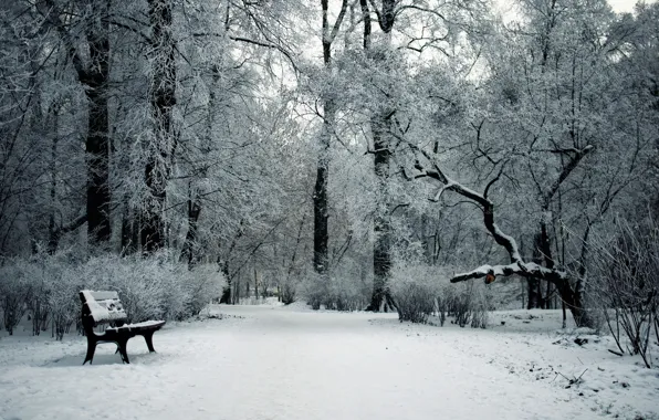 Картинка зима, снег, парк, скамья