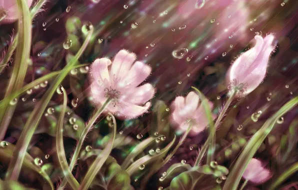 Картинка трава, капли, линии, цветы, дождь, лепестки