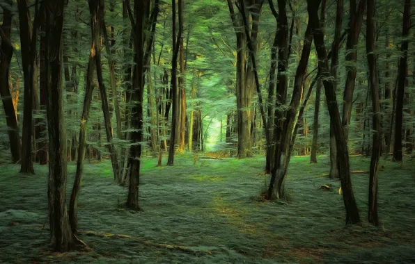 Картинка лес, деревья, digital painting