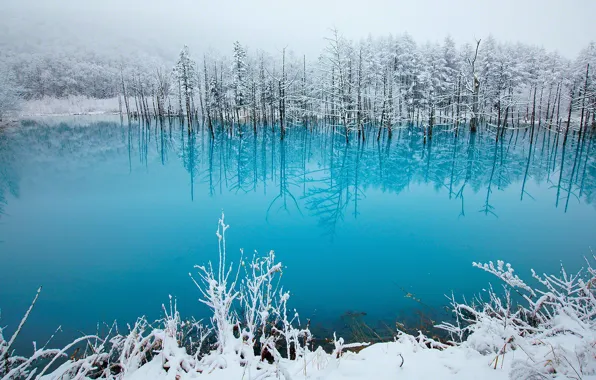 Зима, озеро, красота, сказка, Japan, photo, blue, snow