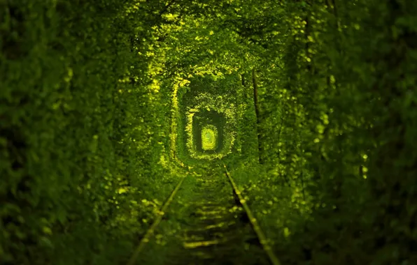 Картинка природа, Украина, трамвайные пути, туннель любви
