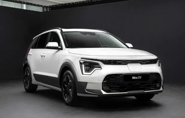 Кроссовер, электромобиль, 2022, Kia Niro