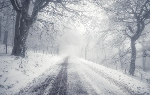 Зима, дорога, туман
