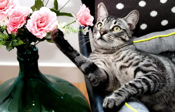 Кошка, кот, взгляд, стекло, морда, цветы, поза, серый