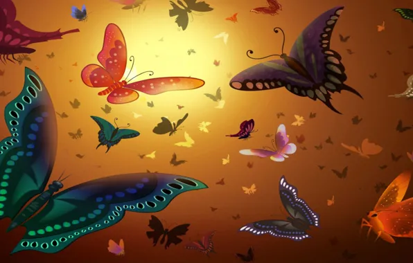 Картинка свет, полет, бабочки, насекомые, рисунок, цвет, крылья