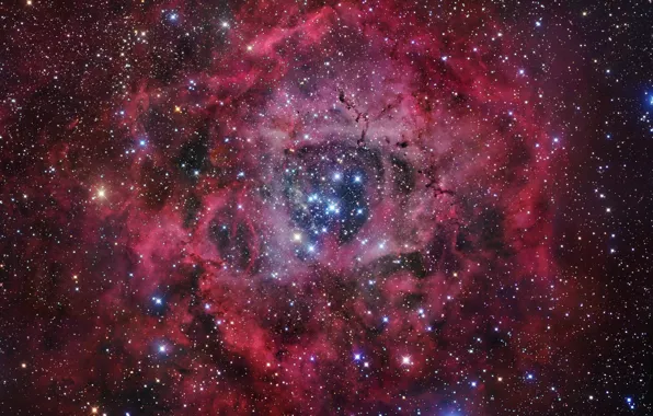 Звезды, Туманность, rosette nebula