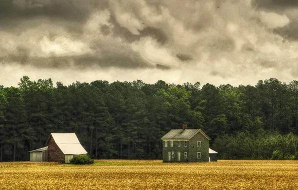 Картинка поле, облака, деревья, дом, сарай, ферма, дождливый