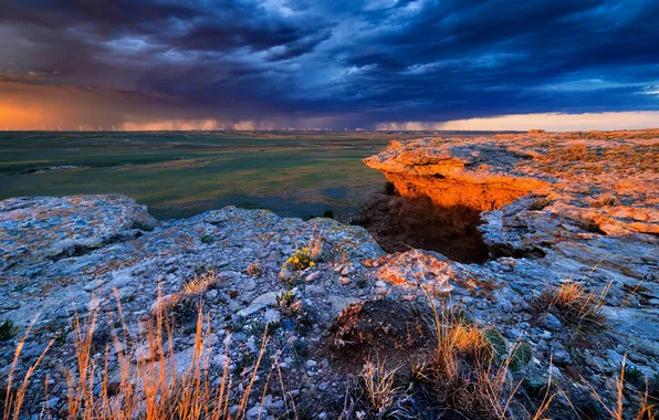 Поле, небо, пейзаж