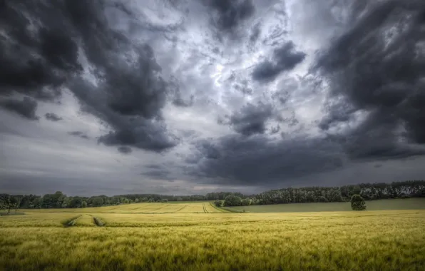 Картинка поле, небо, тучи, природа