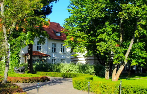House, trees, park