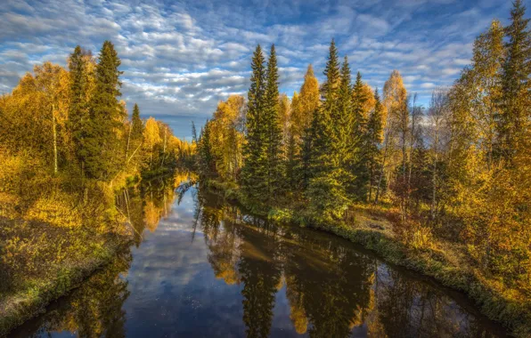 Картинка осень, лес, пейзаж, природа, отражение, река, берега